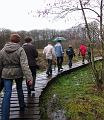 Winterwandeling-Kiewit (6)